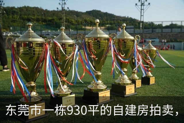 东莞市一栋930平的自建房拍卖，被人214.23万元就竞得