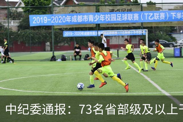 中纪委通报：73名省部级及以上干部被立案