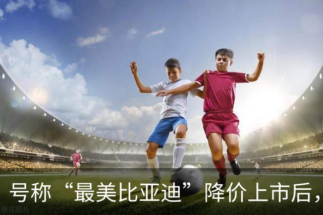 号称“最美比亚迪”降价上市后，或许要再次降价了！