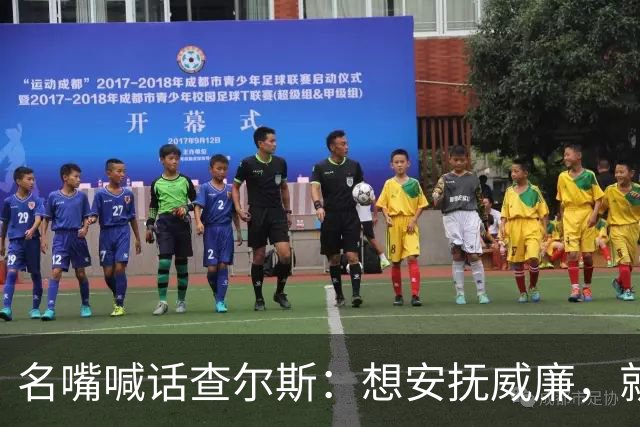 名嘴喊话查尔斯：想安抚威廉，就该剥夺哈里梅根头衔