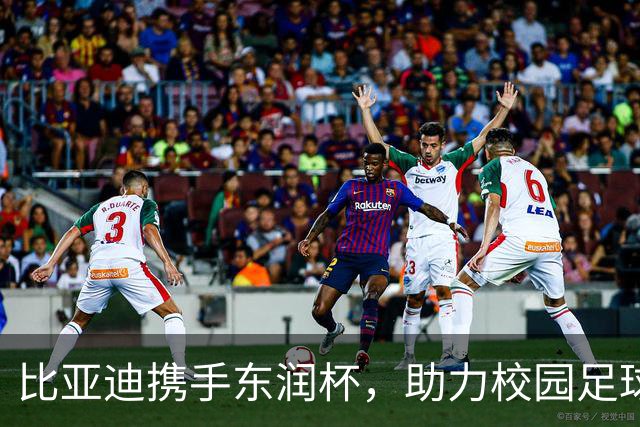 比亚迪携手东润杯，助力校园足球少年圆梦工体