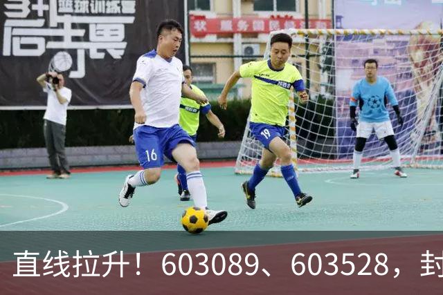 直线拉升！603089、603528，封涨停！