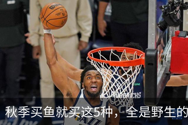 秋季买鱼就买这5种，全是野生的，人工养不了，比养殖鱼更香