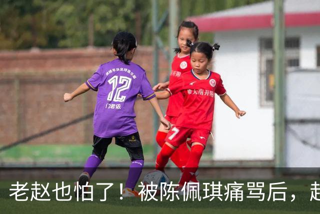 老赵也怕了！被陈佩琪痛骂后，赵少康半夜被逼发文道歉，媒体人爆内幕