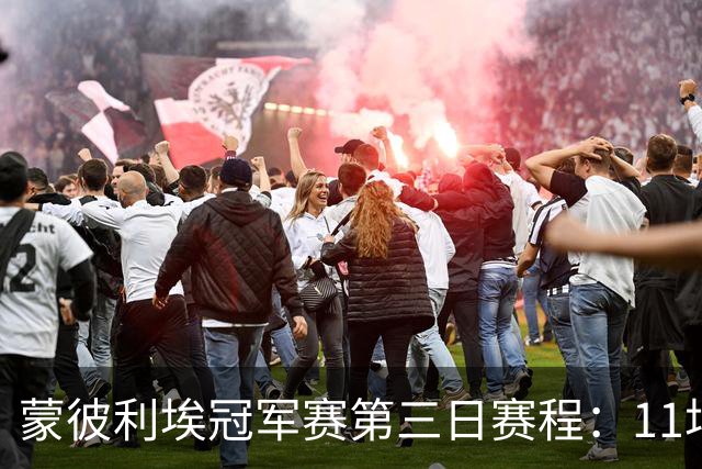 蒙彼利埃冠军赛第三日赛程：11场比赛，国乒参与4场，向鹏VS奥恰