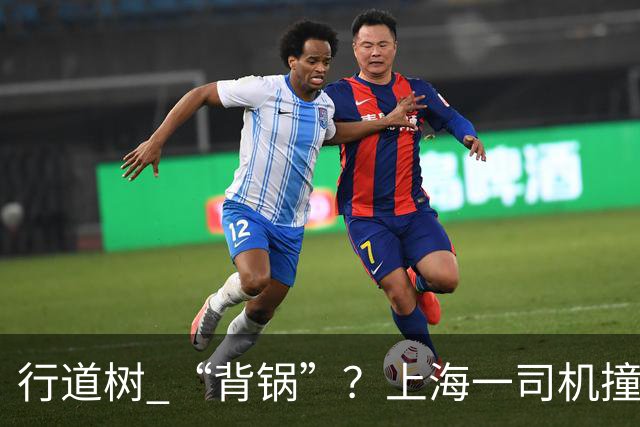 行道树 “背锅”？上海一司机撞树后主张树木全责，结果来了
