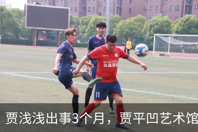 贾浅浅出事3个月，贾平凹艺术馆被法拍，建馆8000万他没出一分钱