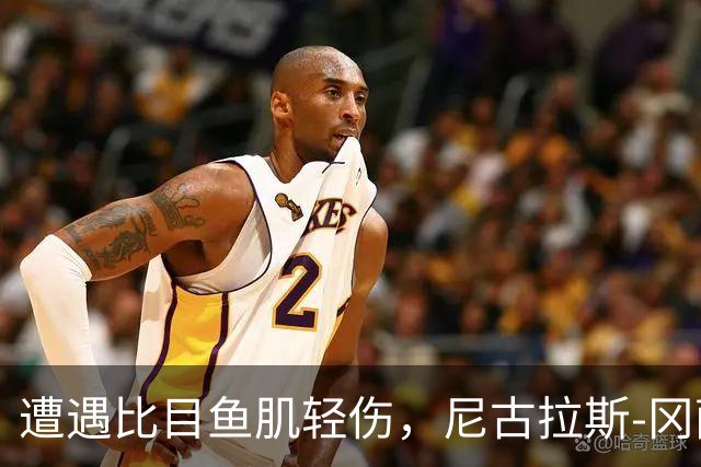 遭遇比目鱼肌轻伤，尼古拉斯-冈萨雷斯社媒表态要强势回归