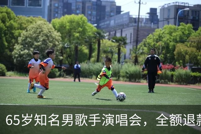 65岁知名男歌手演唱会，全额退款；原定看台票最高1080元