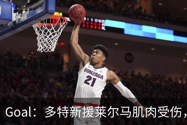Goal：多特新援莱尔马肌肉受伤，复出时间未定